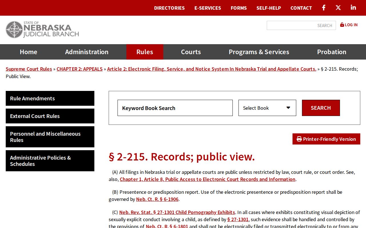 Dundy court records public terminal access rule